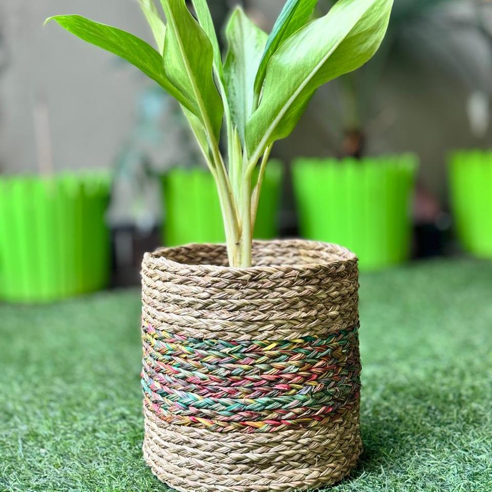 Handcrafted Sabai Planters