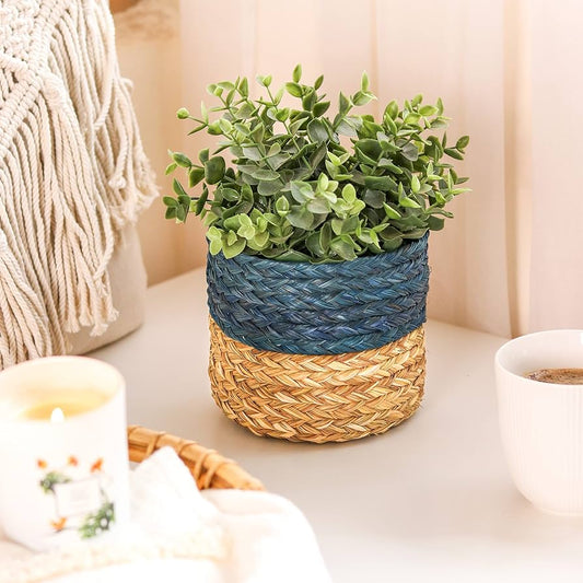 Versatile Grass Planters